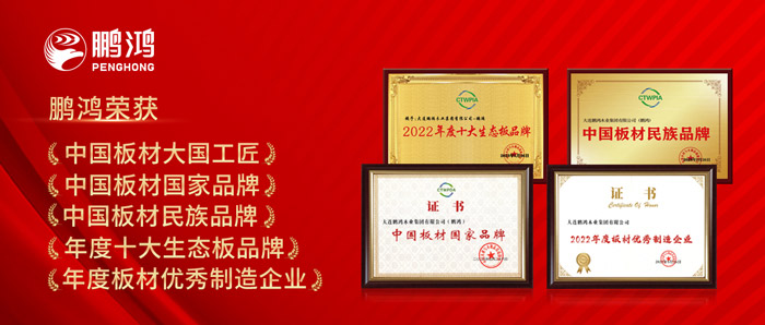 中国板材与定造家居大会，orange橘子平台·(中国区)官方网站揽获5项荣誉